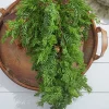 Decorator's Warehouse Christmas Teardrops^32” Christmas Cedar/Hemlock Swag