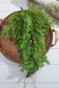 Decorator's Warehouse Christmas Teardrops^32” Christmas Cedar/Hemlock Swag