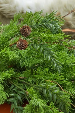 Decorator's Warehouse Christmas Teardrops^32” Christmas Cedar/Hemlock Swag