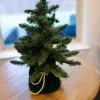 Decorator's Warehouse Christmas Accents^18” Christmas Tree In Green Decorative Bag