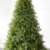 Decorator's Warehouse Christmas Trees|Christmas Trees^9' Deluxe Trinity Pine Artificial Christmas Tree With 2850 Color-Changing Lights