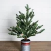 Decorator's Warehouse Christmas Accents^24” Farmhouse Potted Snowy Pine Tree