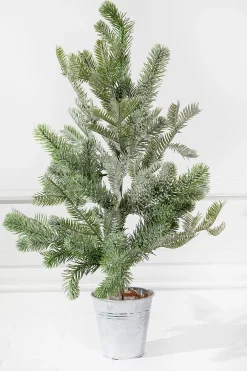 Decorator's Warehouse Christmas Accents^2’ Flocked Potted Pine Tree