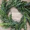 Decorator's Warehouse Christmas Wreaths|Natural Greenery^24” Iced Garden Norfolk Pine Wreath