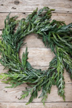 Decorator's Warehouse Christmas Wreaths|Natural Greenery^24” Iced Garden Norfolk Pine Wreath