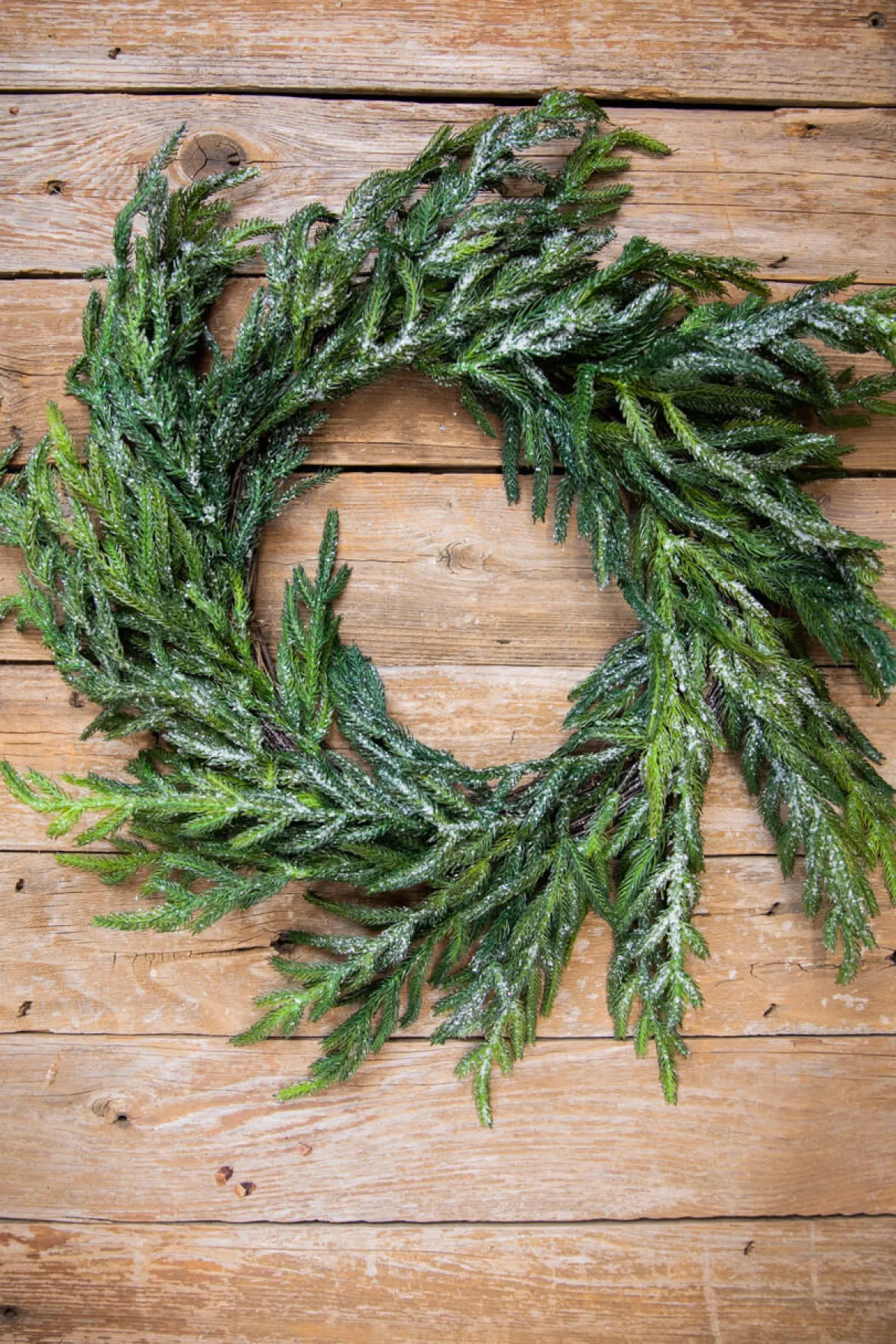 Decorator's Warehouse Christmas Wreaths|Natural Greenery^24” Iced Garden Norfolk Pine Wreath