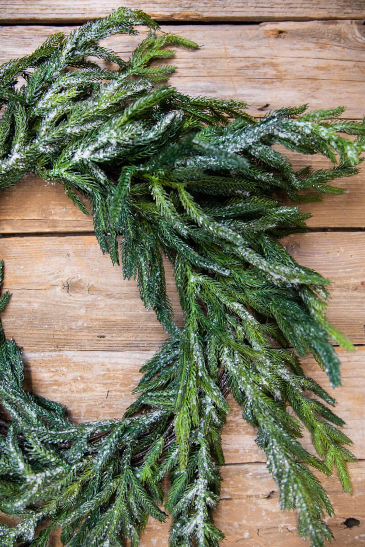 Decorator's Warehouse Christmas Wreaths|Natural Greenery^24” Iced Garden Norfolk Pine Wreath