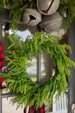 Decorator's Warehouse Christmas Wreaths|Natural Greenery^24” Just Cut Norfolk Pine Wreath