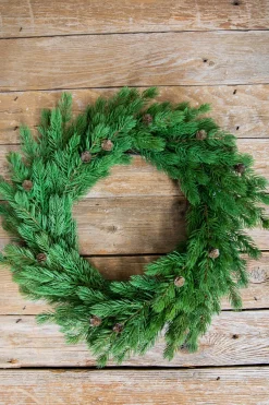 Decorator's Warehouse Christmas Wreaths^24” Just Cut Spruce Wreath