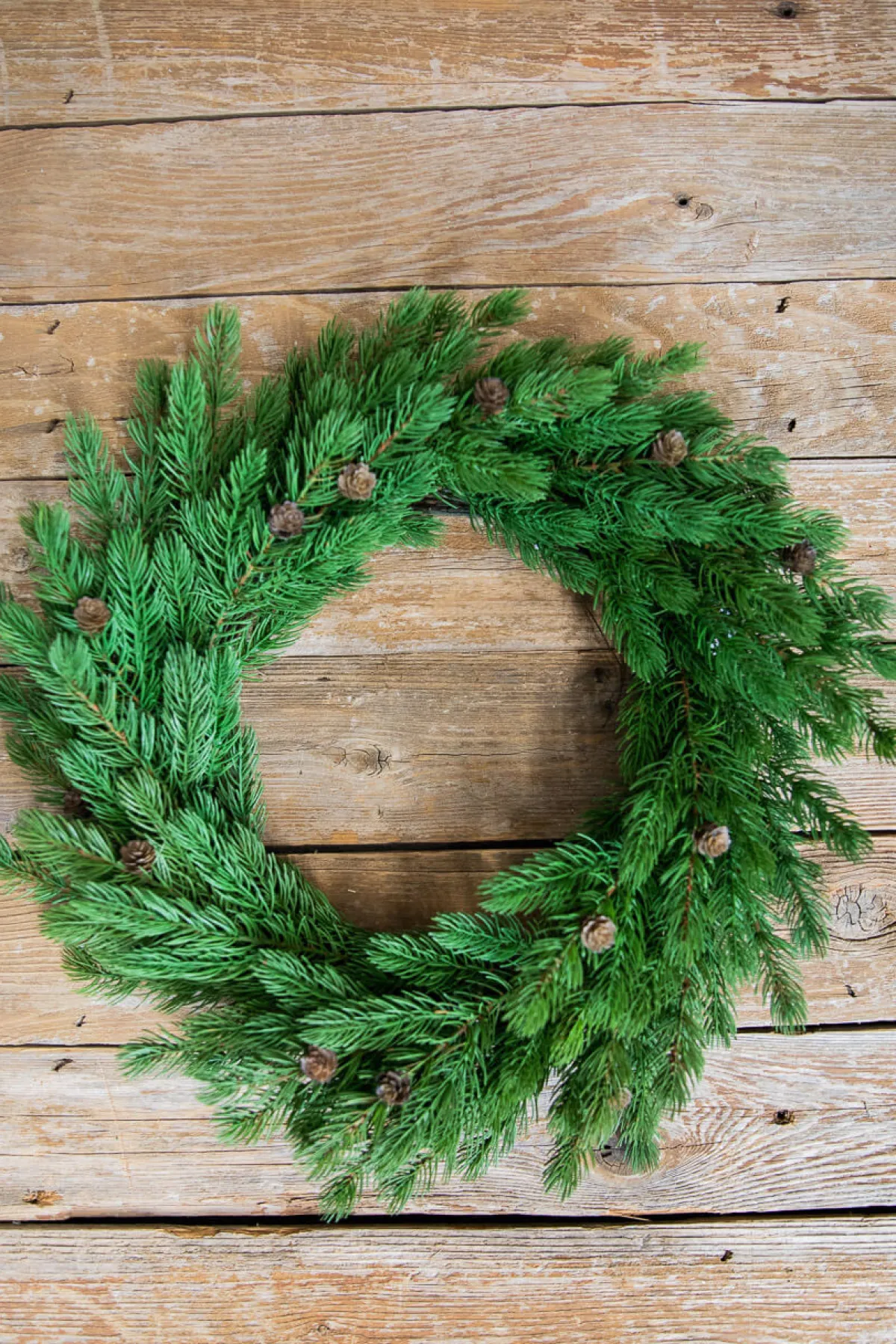 Decorator's Warehouse Christmas Wreaths^24” Just Cut Spruce Wreath