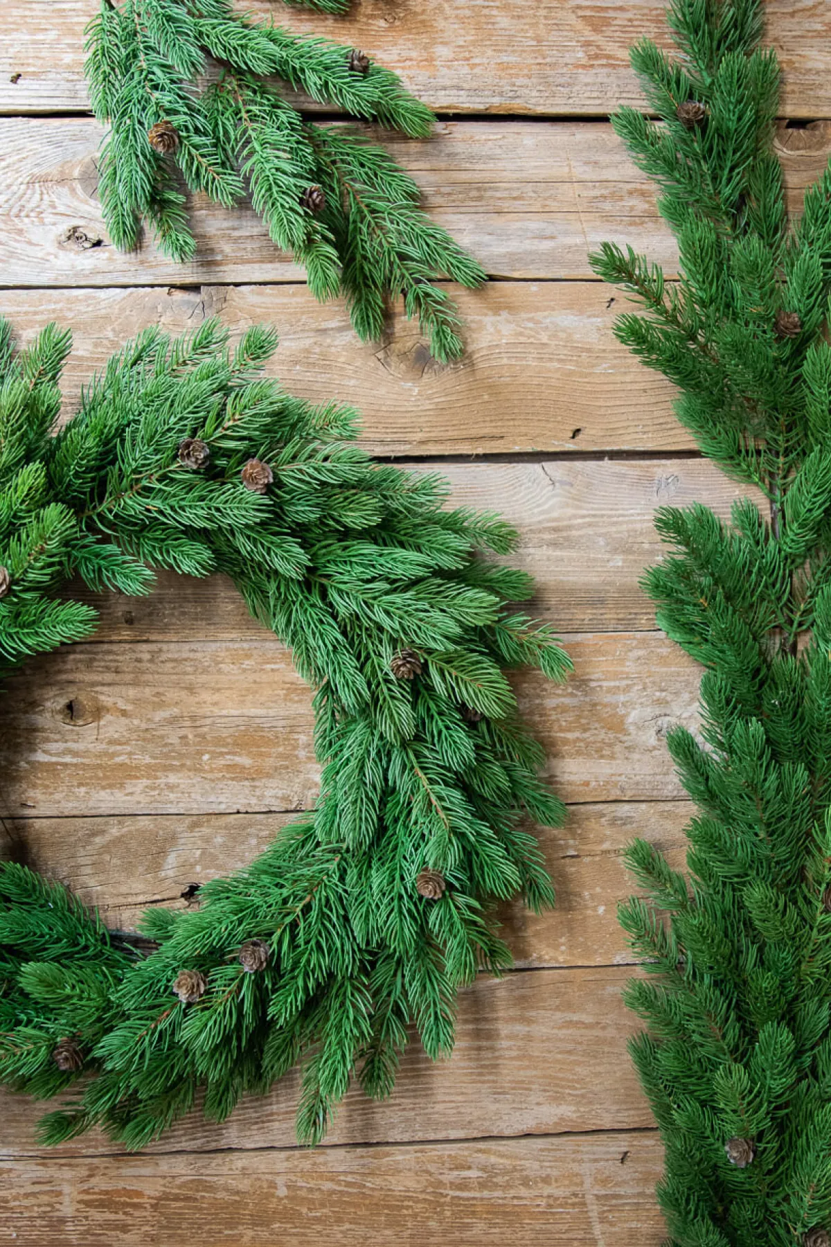 Decorator's Warehouse Christmas Wreaths^24” Just Cut Spruce Wreath