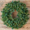 Decorator's Warehouse Christmas Wreaths|Wreaths^36" LED Belgium (Warm White)