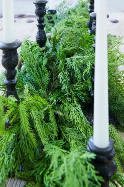 Decorator's Warehouse Christmas Teardrops|Natural Greenery^72” Luxury Cyprus Norfolk Swag