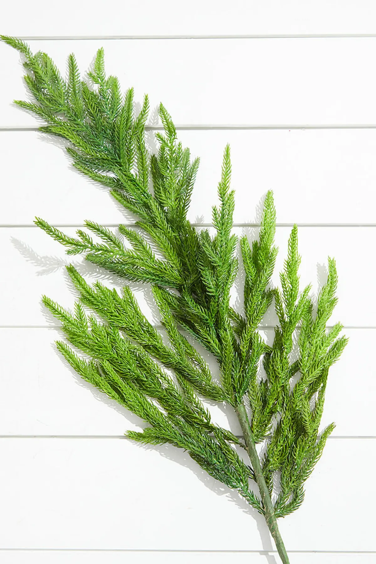 Decorator's Warehouse Natural Greenery^38” Natural Touch Norfolk Pine Christmas Spray