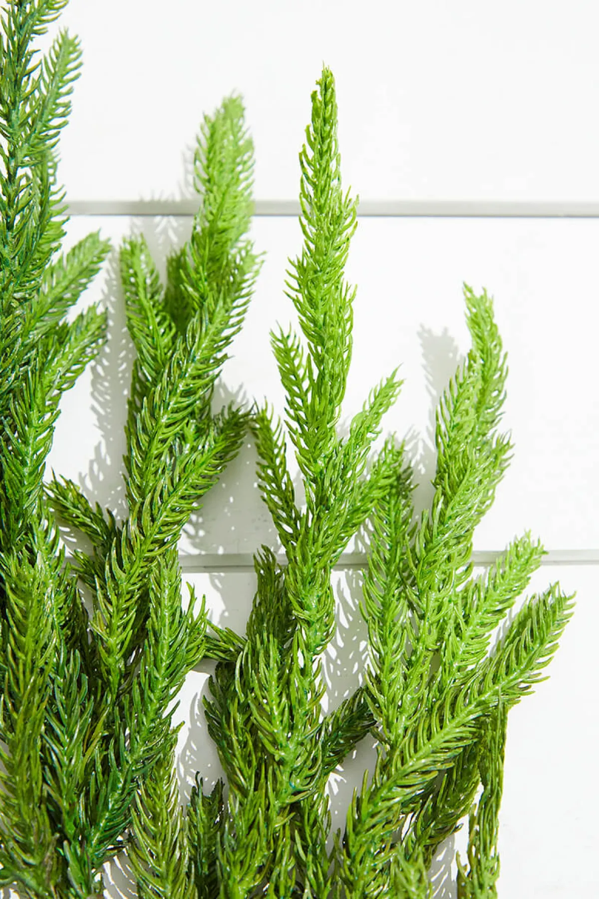 Decorator's Warehouse Natural Greenery^38” Natural Touch Norfolk Pine Christmas Spray