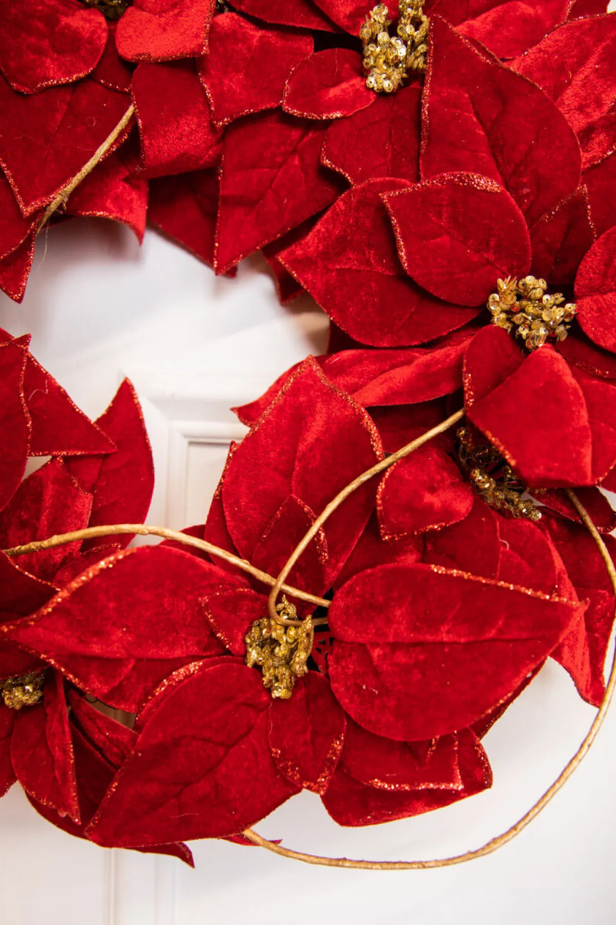 Decorator's Warehouse Christmas Wreaths^21” Poinsettia Wreath