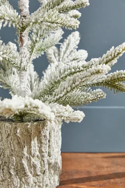 Decorator's Warehouse Christmas Accents^18" Potted Noble Fir Tree With Snow