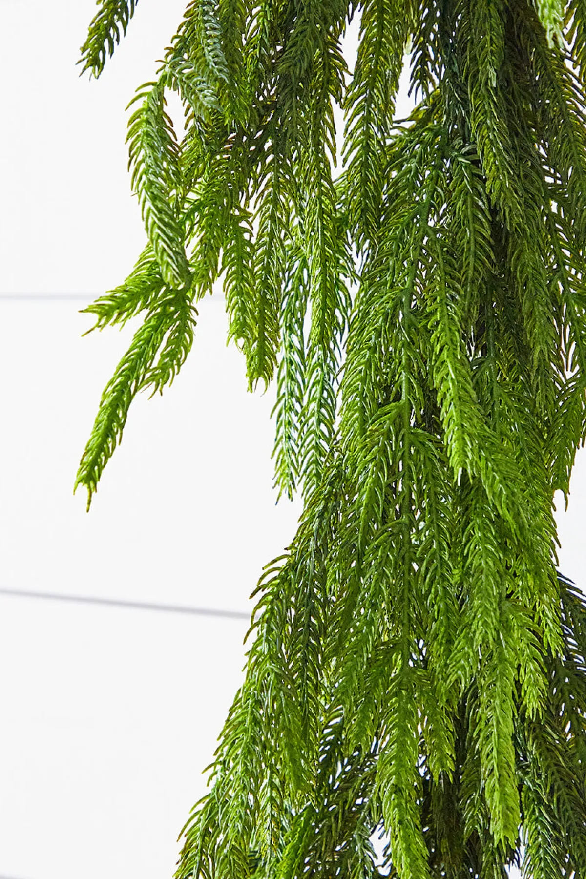 Decorator's Warehouse Christmas Garlands|Natural Greenery^72” Real Touch Norfolk Pine Garland