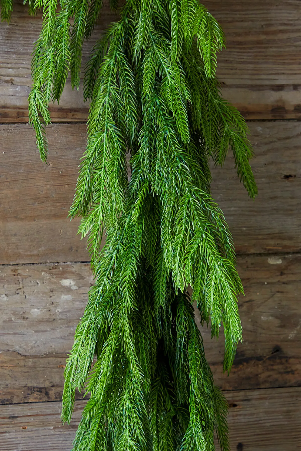 Decorator's Warehouse Christmas Garlands|Natural Greenery^72” Real Touch Norfolk Pine Garland