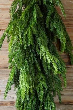 Decorator's Warehouse Christmas Teardrops|Natural Greenery^36” Real Touch Norfolk Pine Teardrop