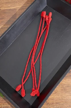Decorator's Warehouse Christmas Garlands^16” Red Decorative Twist Ties
