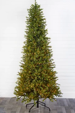 Decorator's Warehouse Christmas Trees|Christmas Trees^10' Slim Southern Fir With 2000 3mm Lights