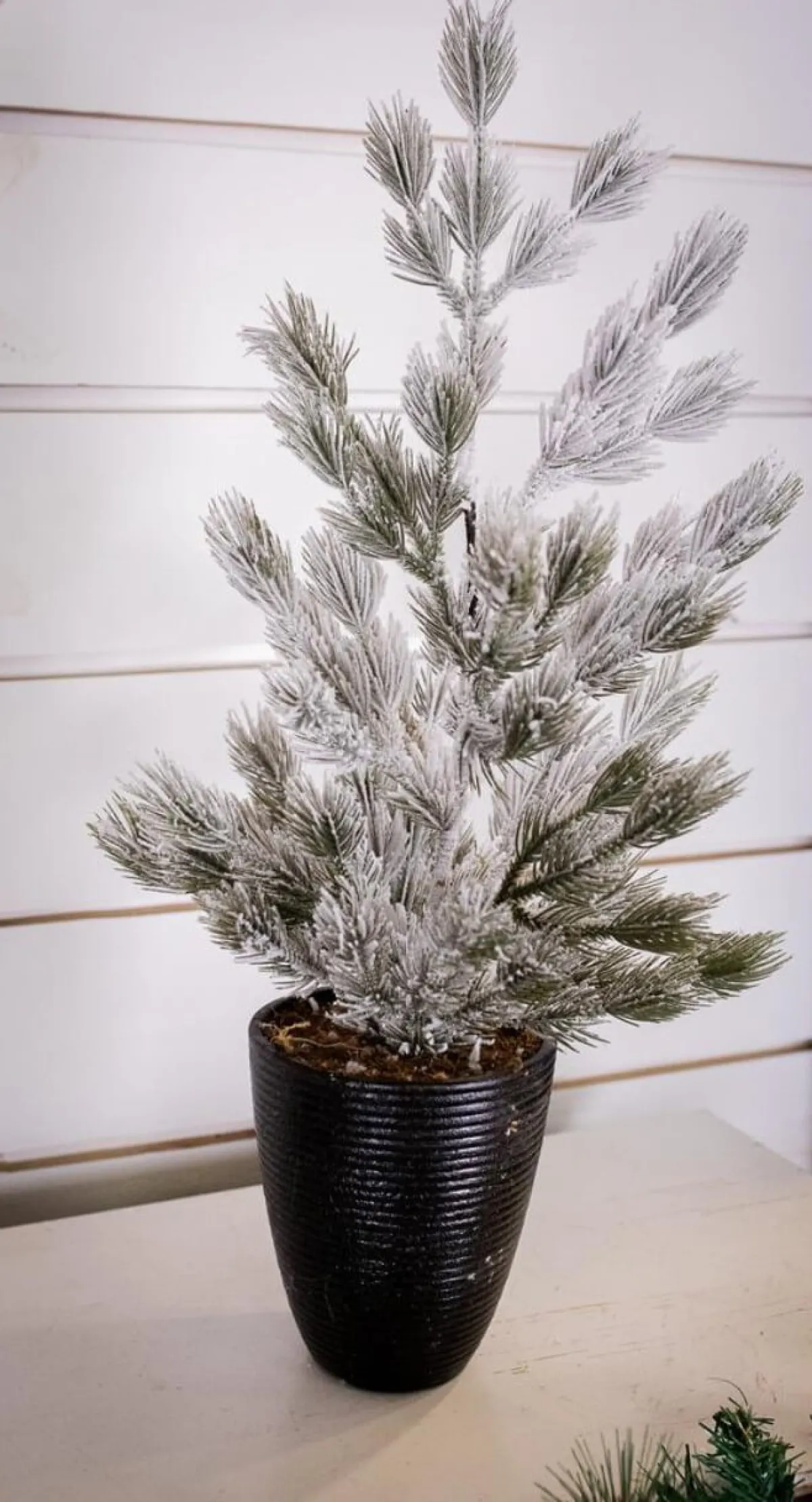 Decorator's Warehouse Christmas Accents^24" Snow Tree In Black Container
