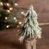 Decorator's Warehouse Christmas Accents^9" Snowy Pine Tree