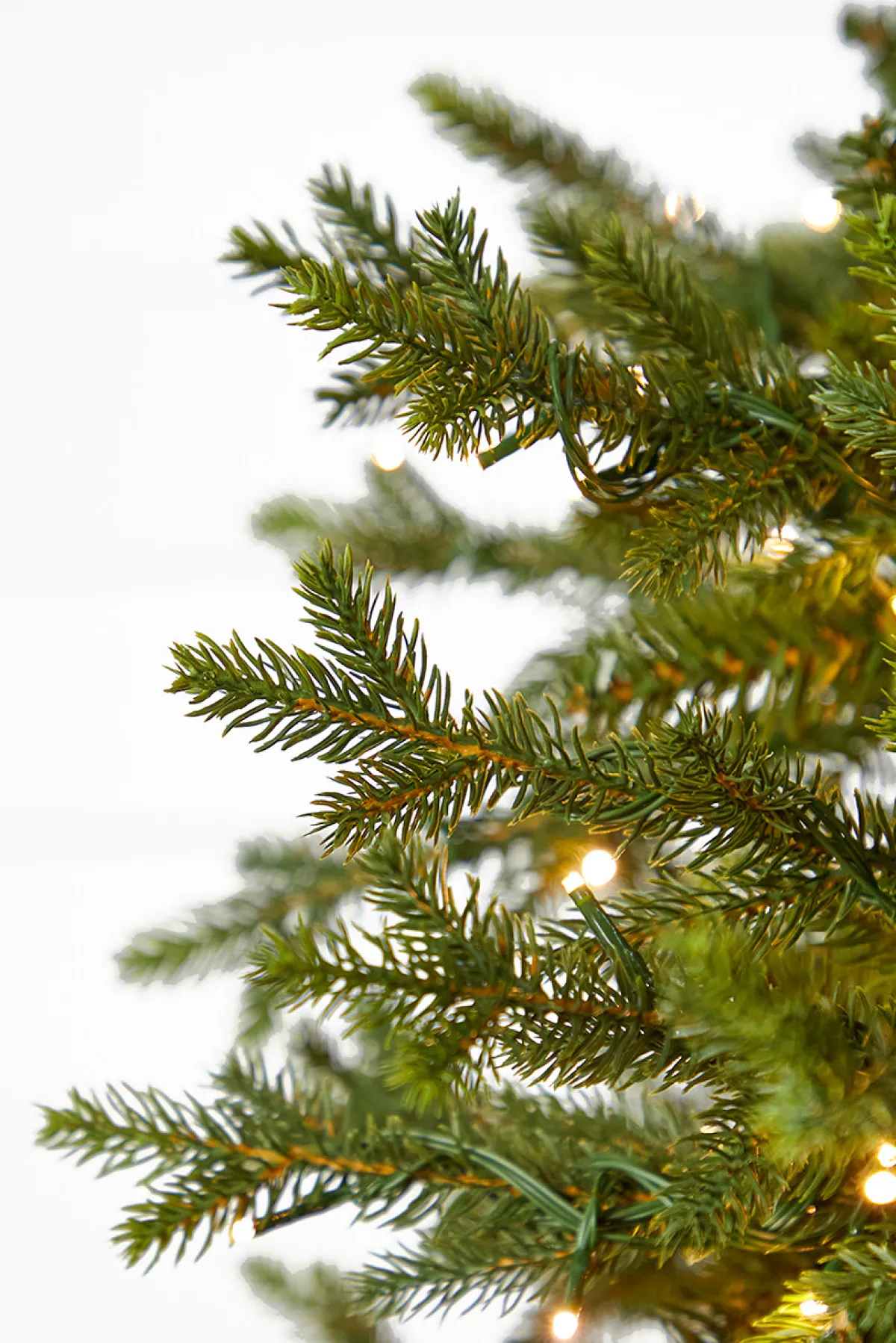 Decorator's Warehouse Christmas Trees|Christmas Trees^10' Southern Fir With 3000 3mm Lights