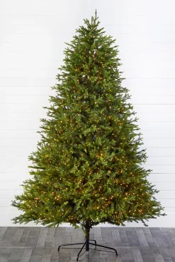 Decorator's Warehouse Christmas Trees|Christmas Trees^9' Southern Fir With 2400 3mm Lights