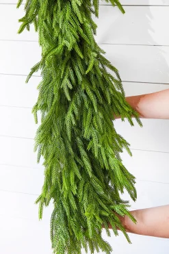 Decorator's Warehouse Christmas Garlands|Natural Greenery^60" X 16" Real Touch Deluxe Norfolk Pine Garland