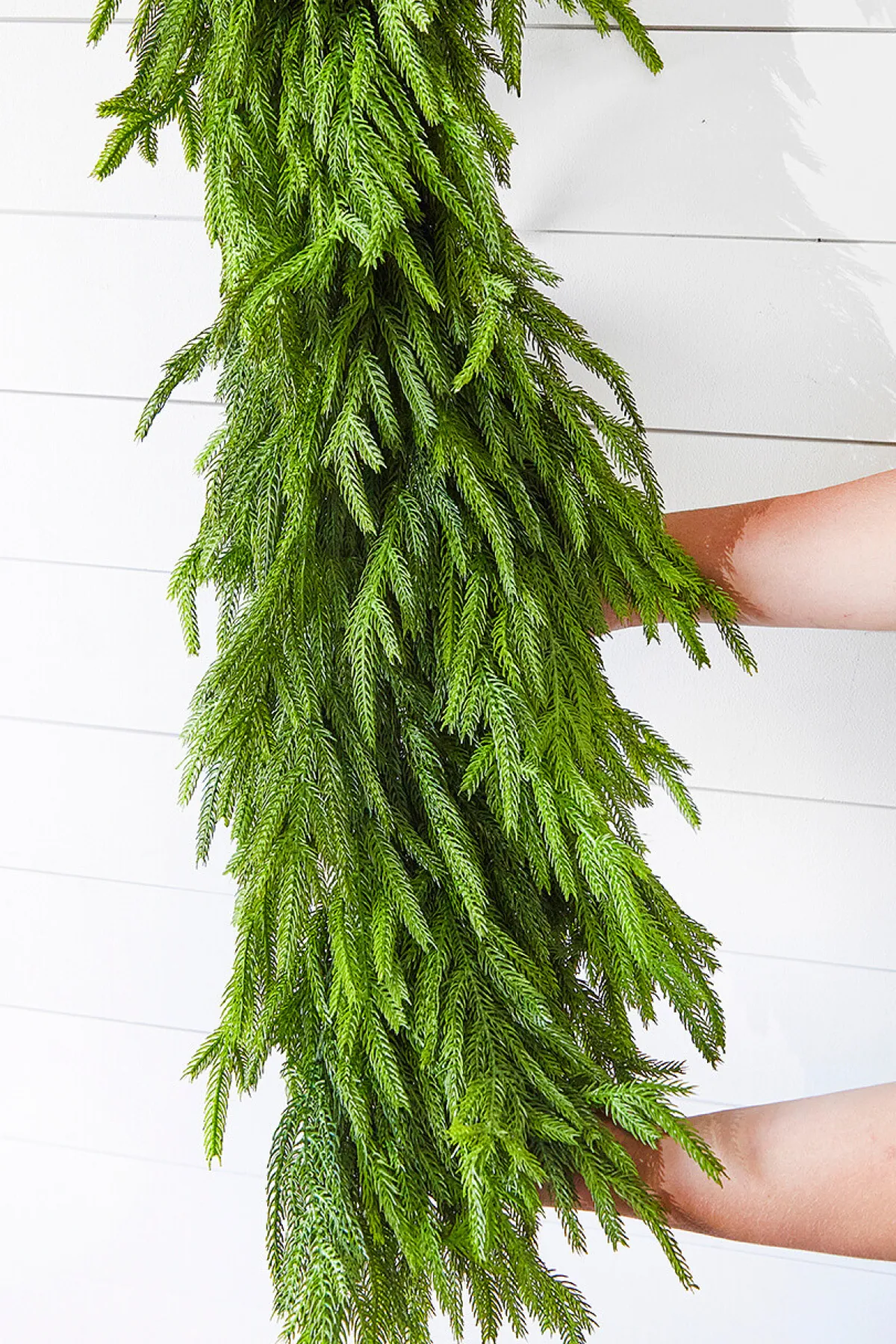 Decorator's Warehouse Christmas Garlands|Natural Greenery^60" X 16" Real Touch Deluxe Norfolk Pine Garland
