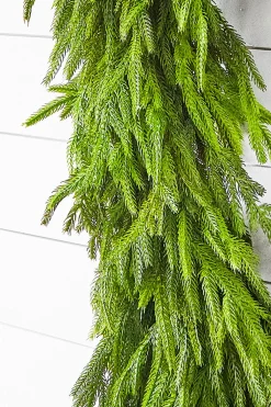 Decorator's Warehouse Christmas Garlands|Natural Greenery^60