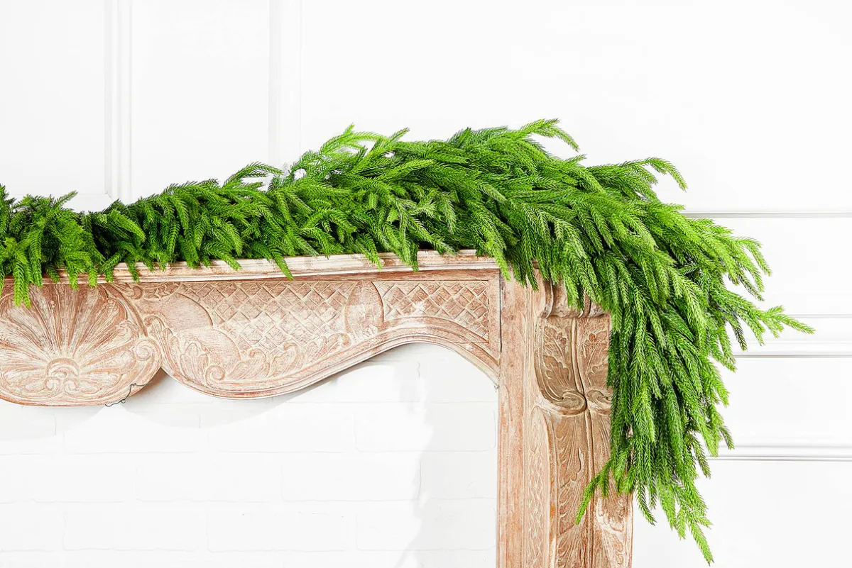 Decorator's Warehouse Christmas Garlands|Natural Greenery^60" X 16" Real Touch Deluxe Norfolk Pine Garland