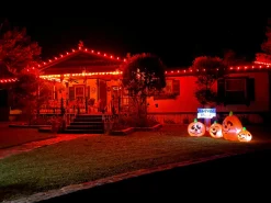 Decorator's Warehouse Bulbs|Outdoor Lighting^C9 Wonderful LED SMD Bulb (25 Bulbs/bag) - Faceted, Orange