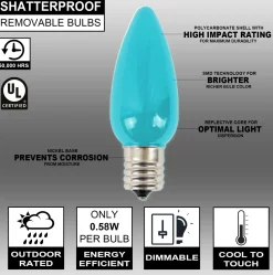 Decorator's Warehouse Bulbs|Outdoor Lighting^C9 Wonderful LED SMD Bulb (25 Bulbs/bag) - Frosted, Teal