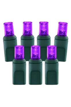 Decorator's Warehouse Light Strands|Outdoor Lighting^5mm Purple - 70L 23.7' 4" Spacing