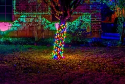 Decorator's Warehouse Light Strands|Outdoor Lighting^5mm Multi - 70L 4" Spacing