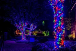 Decorator's Warehouse Light Strands|Outdoor Lighting^5mm Multi - 70L 4