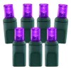 Decorator's Warehouse Light Strands|Outdoor Lighting^5mm Purple - 70L 4" Spacing