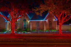 Decorator's Warehouse Light Strands|Outdoor Lighting^5mm Red - 70L 4