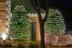 Decorator's Warehouse Light Strands|Outdoor Lighting^5mm Warm White - 70L 4