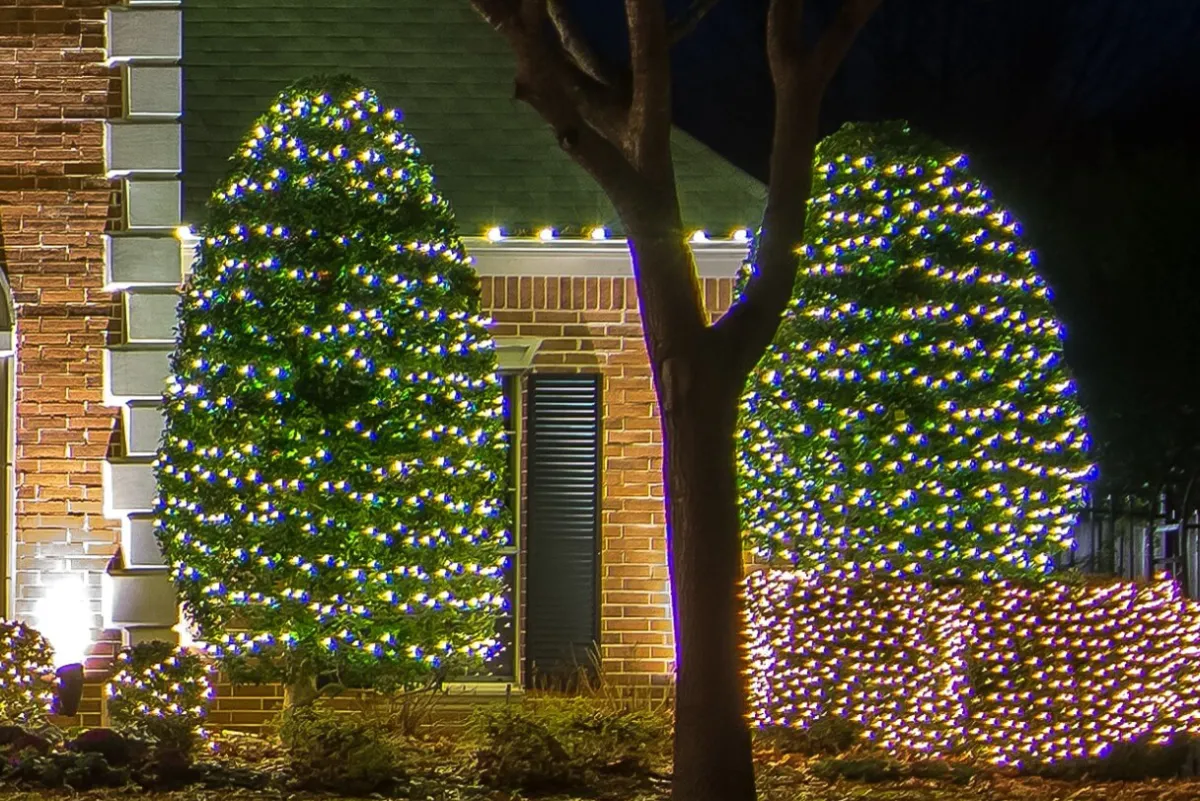 Decorator's Warehouse Light Strands|Outdoor Lighting^5mm Warm White - 70L 4" Spacing