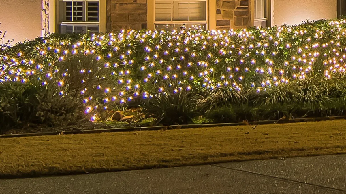 Decorator's Warehouse Light Strands|Outdoor Lighting^Net Warm White - 5mm 100L 4'x6'