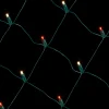 Decorator's Warehouse Outdoor Lighting^Net Warm White/Red - 5mm 100L 4'x6'